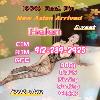  ♋️♥️Sexy♋️100%Real ♋️Japan❤️Girls ♋️❤️Nuru♋♋️FS♋♋️GFE  | Lexington | United States | cityxad.com 