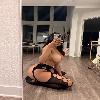 CLEAN,100% LEGIT AND UPSCALE BEAUTY 👅 Available for Incall and outcall services!!! | Worcester | United States | cityxad.com 