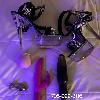 SUDBURY 2 Days Only BunnyXo with toys!!tight &naughty | Sudbury | Canada | cityxad.com 
