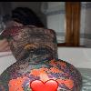 like squirters? NEW CONTACT INFO | Calgary | Canada | cityxad.com 