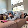 HMU for hookup and my nudes ,Am ready to ride your cock till you moan my name. +1209-583-5025 | Fort Collins | United States | cityxad.com 