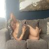 Title: Relaxation with a Naughty Twist | Hamilton | Australia and Oceania | cityxad.com 