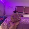 Discreet sex with Caucasian sexy girl | Huntsville | United States | cityxad.com 