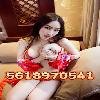  New girls are waiting for you every day  | Fort Lauderdale | United States | cityxad.com 