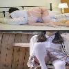  ✨💖✨new girls amazing✨💖✨646-260-9810✨💖✨beautiful Sexy. Upscale, Safe  | Norfolk | United States | cityxad.com 