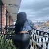  3476806948  | Brooklyn | United States | cityxad.com 