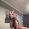 Coco (New girl )nice FS | Edmonton | Canada | cityxad.com 