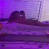 My name is Sara I am straightforward and 👑 i am a great conversationalist 😉💋 I’m friendly,good to | Sacramento | United States | cityxad.com 
