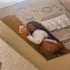  ❇Open minded fun loving attitude.  | Baltimore | United States | cityxad.com 
