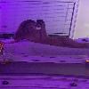 Escort | Vermont | United States | cityxad.com 