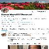 OUTCALL ONLY !! Exotic & Sensual - CORNWALL | Cornwall | Canada | cityxad.com 